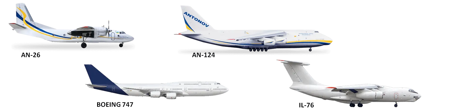 РАЗНООБРАЗИЕ НАШЕГО ПАРКА